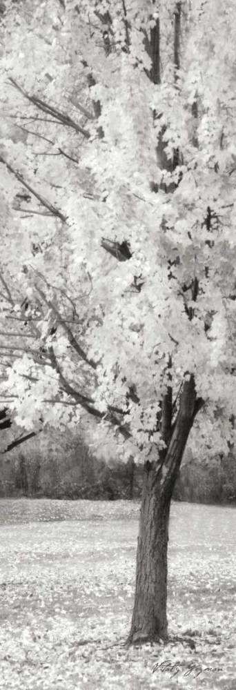 Splash of Color III BW art print by Vitaly Geyman for $57.95 CAD