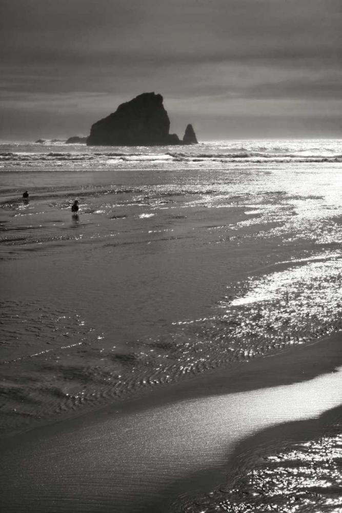 Seashore Serenity II BW art print by Vitaly Geyman for $57.95 CAD