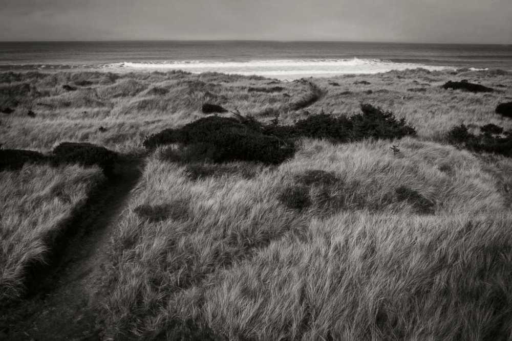 Coastal Spirit II art print by Vitaly Geyman for $57.95 CAD