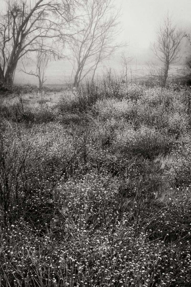 Country Serenity II art print by Vitaly Geyman for $57.95 CAD