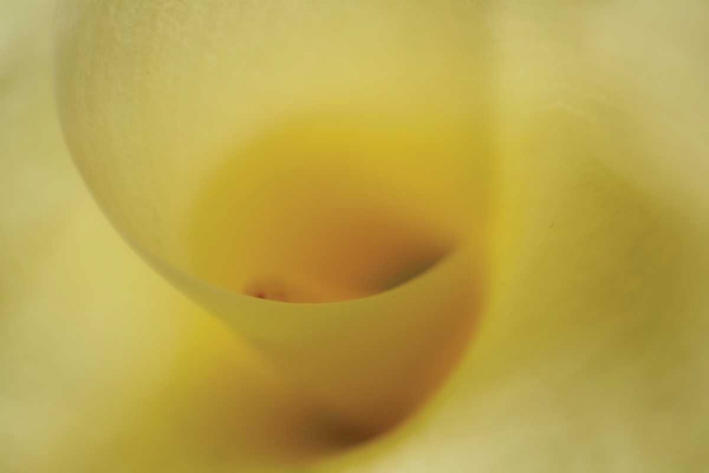 Tender Moments I art print by Vitaly Geyman for $57.95 CAD