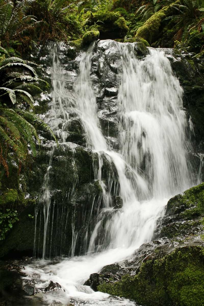 Waterfall I art print by Vitaly Geyman for $57.95 CAD