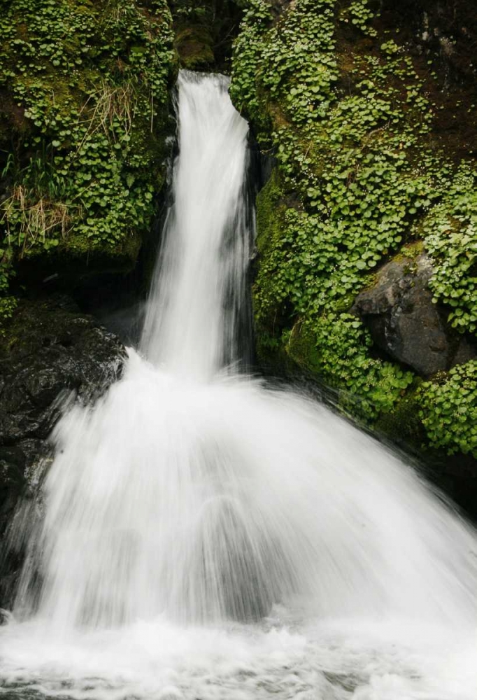 Waterfall II art print by Vitaly Geyman for $57.95 CAD