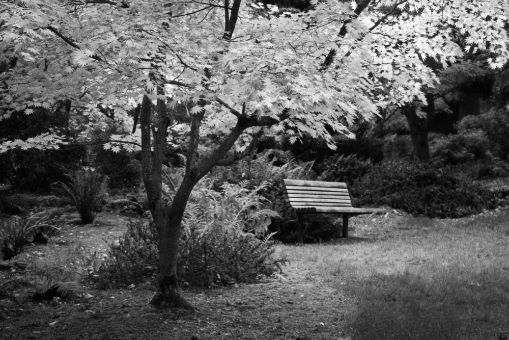 Contemplation I B and W art print by Vitaly Geyman for $57.95 CAD