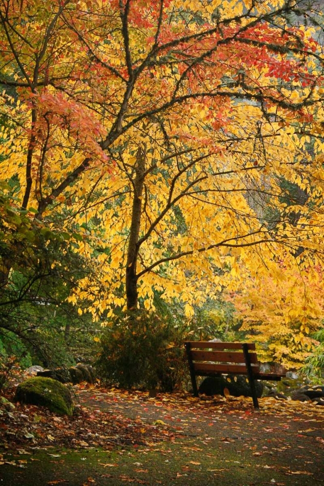 Fall Abundance I art print by Vitaly Geyman for $57.95 CAD