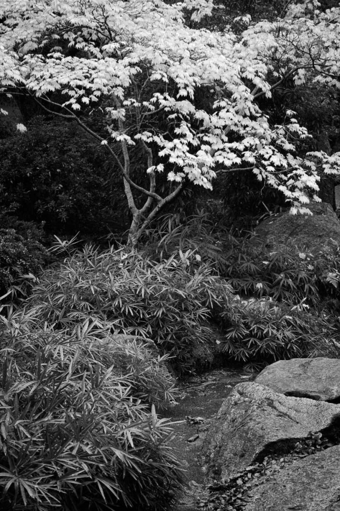 Fall Abundance III B and W art print by Vitaly Geyman for $57.95 CAD