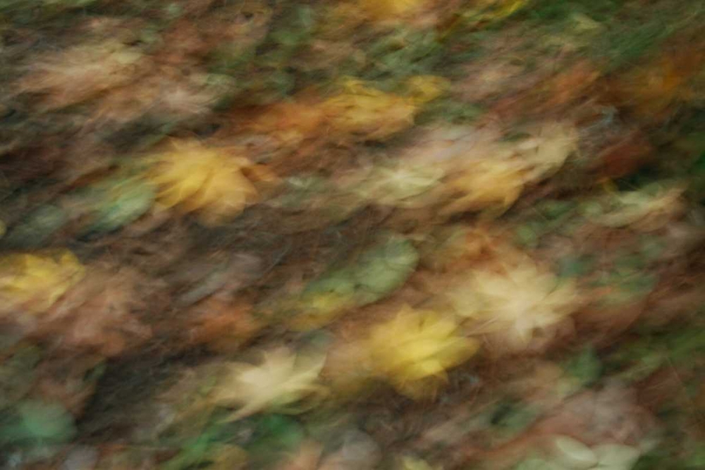Fall Impressions I art print by Vitaly Geyman for $57.95 CAD