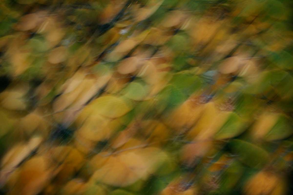 Nature Softness I art print by Vitaly Geyman for $57.95 CAD