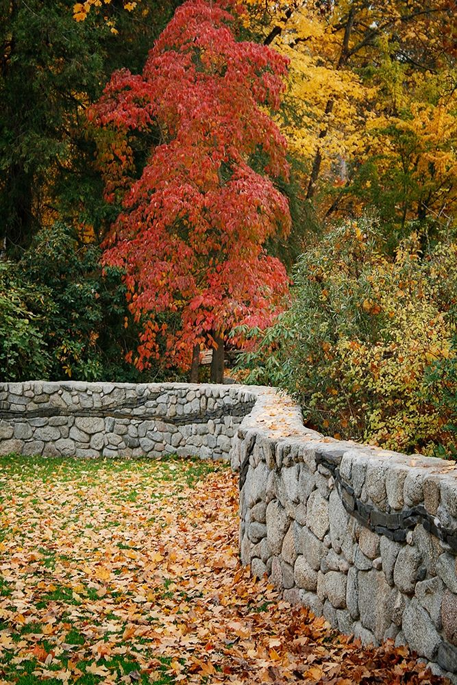 Fall Colors II art print by Vitaly Geyman for $57.95 CAD