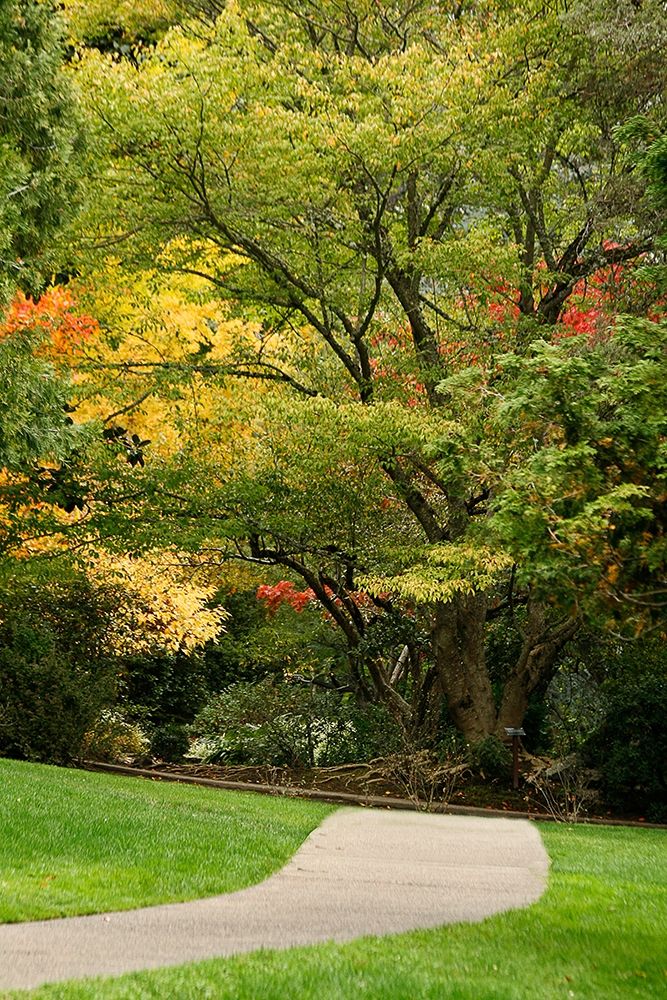 Fall Colors III art print by Vitaly Geyman for $57.95 CAD