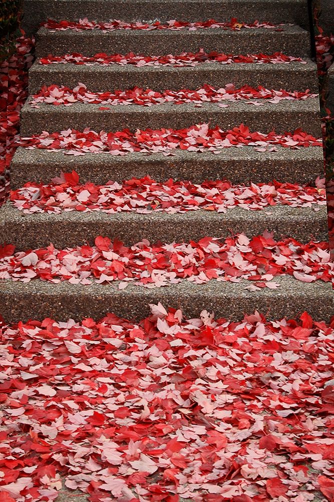 Red Carpet I art print by Vitaly Geyman for $57.95 CAD