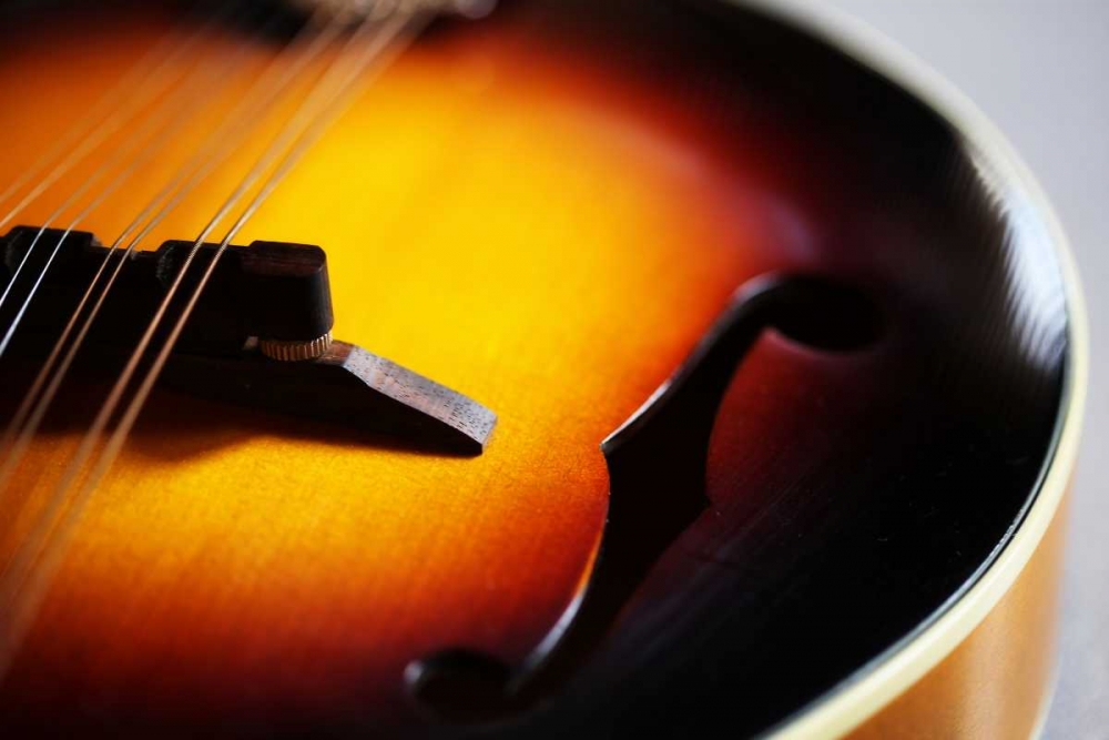 Music I art print by Leesa White for $57.95 CAD