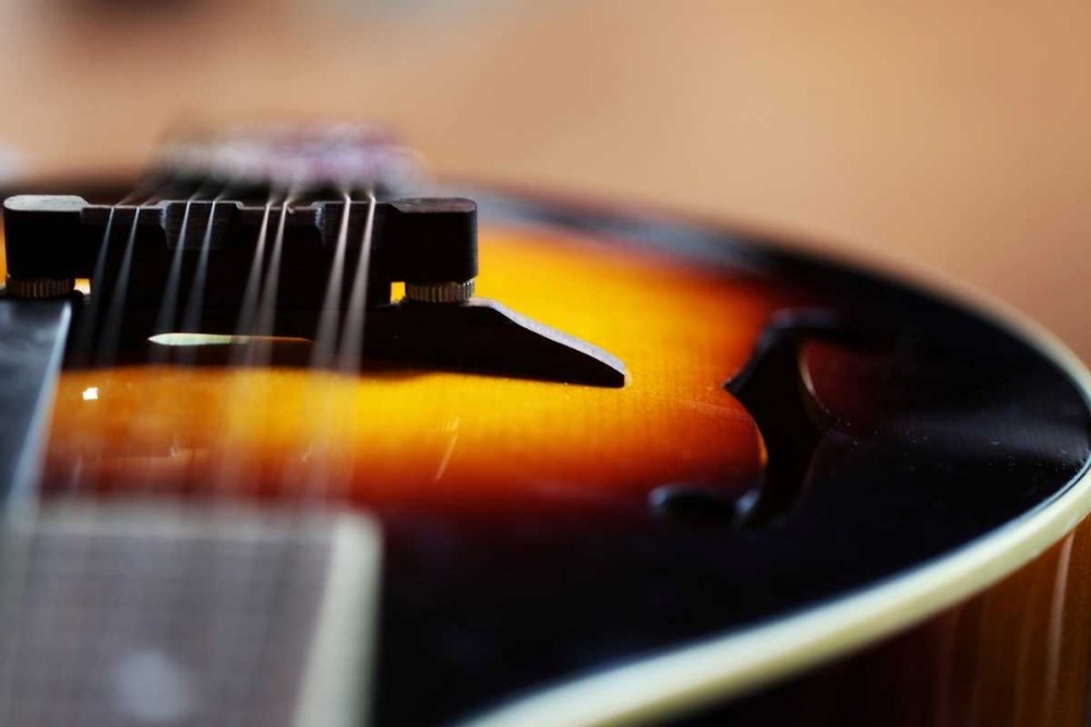 Music II art print by Leesa White for $57.95 CAD