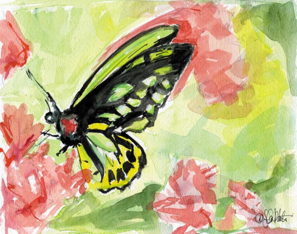 Watercolor Butterfly II art print by LuAnn Roberto for $57.95 CAD