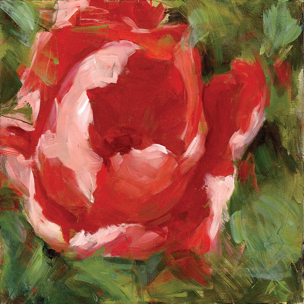 Tulip art print by Annie Salness for $57.95 CAD