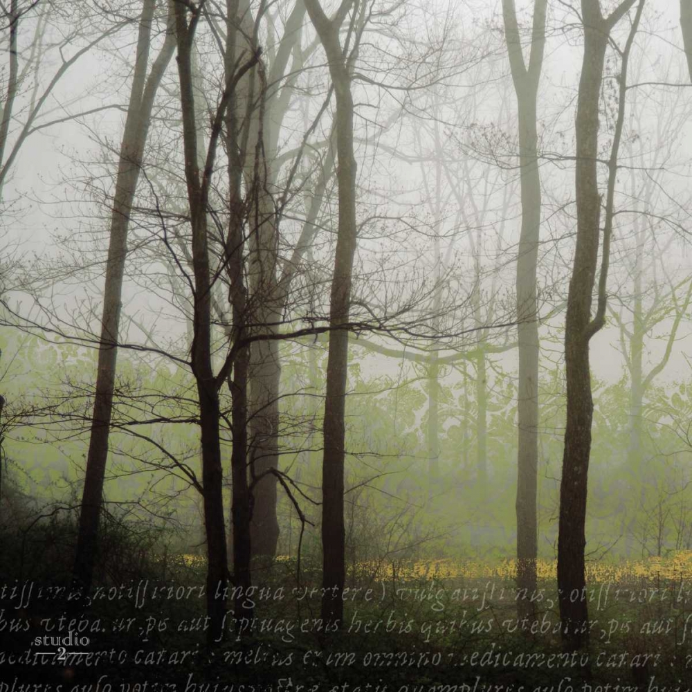 Partners III art print by Studio 2 for $57.95 CAD
