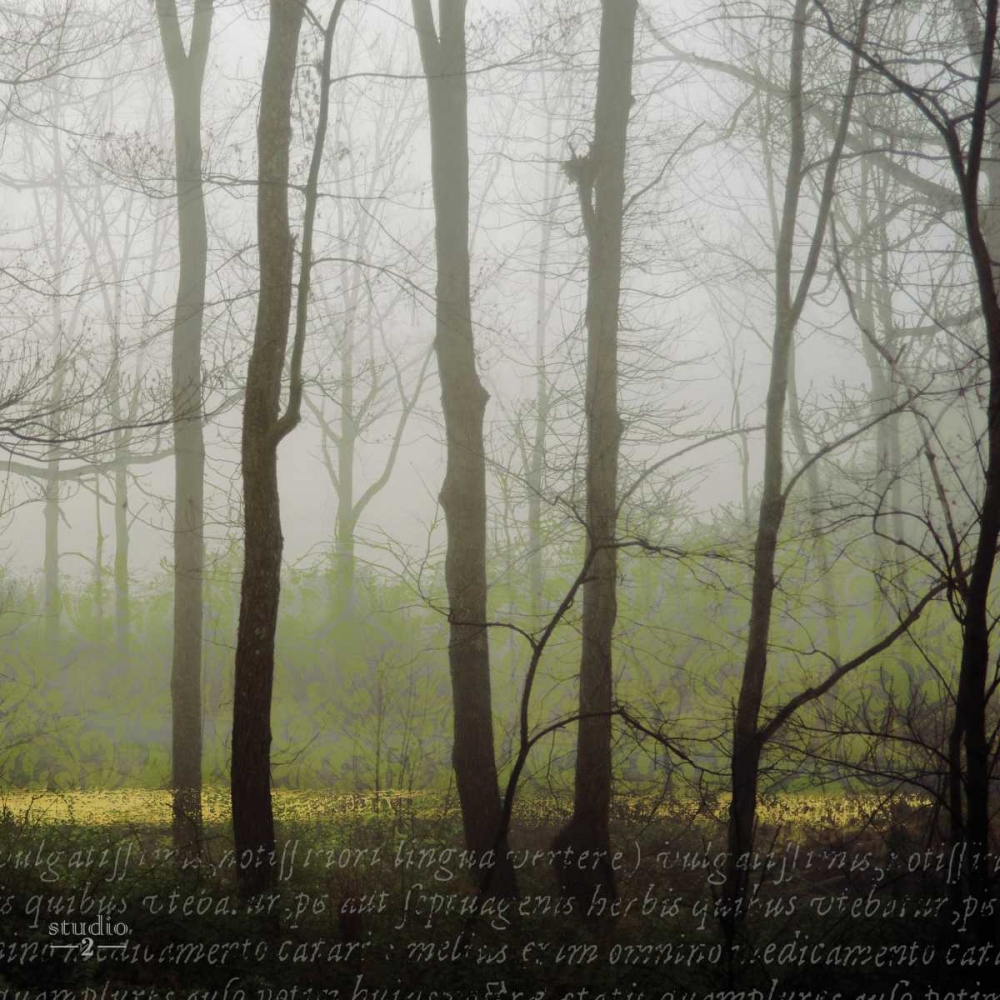 Partners IV art print by Studio 2 for $57.95 CAD
