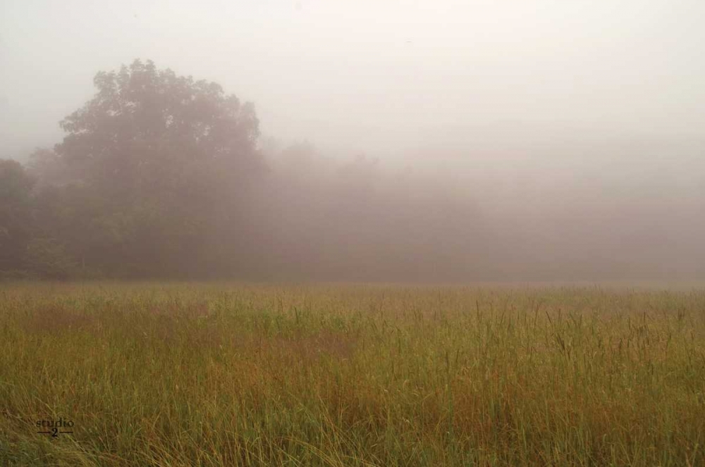 Misty Morning I art print by Studio 2 for $57.95 CAD