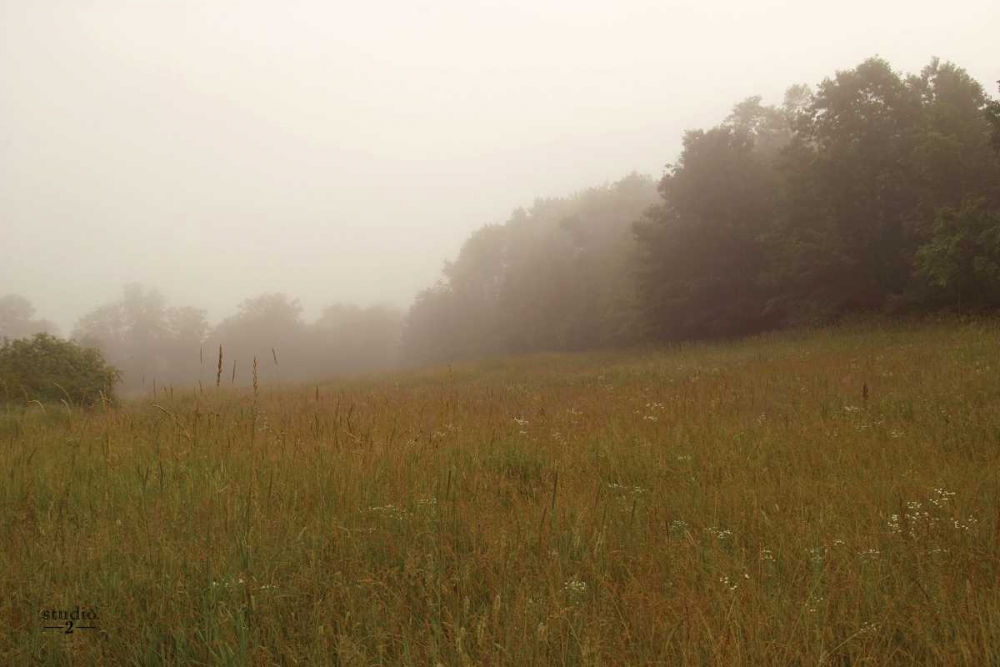 Misty Morning II art print by Studio 2 for $57.95 CAD