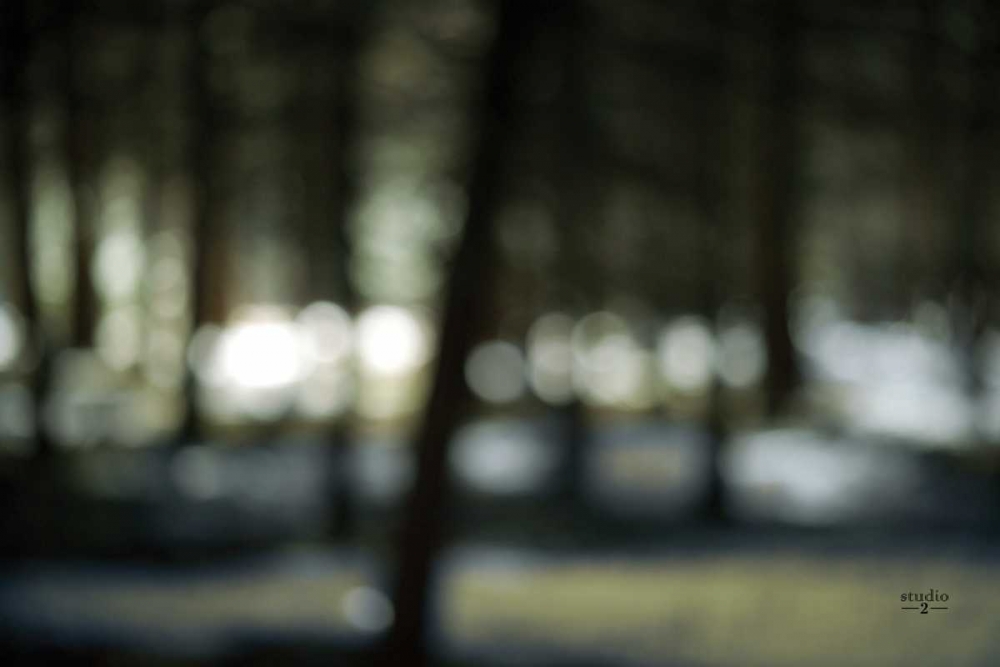 Bokeh Dream art print by Studio 2 for $57.95 CAD