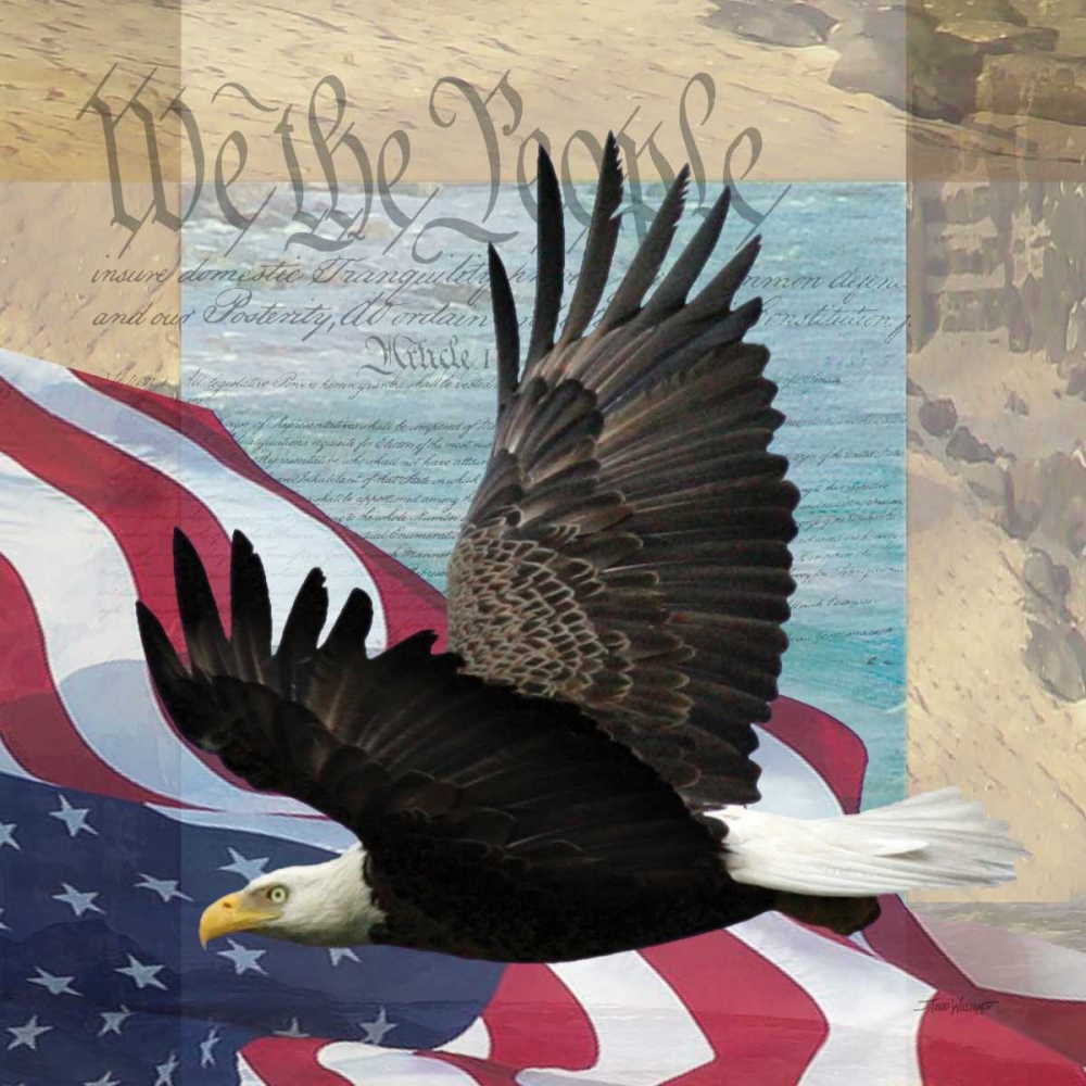 Freedom II art print by Todd Williams for $57.95 CAD