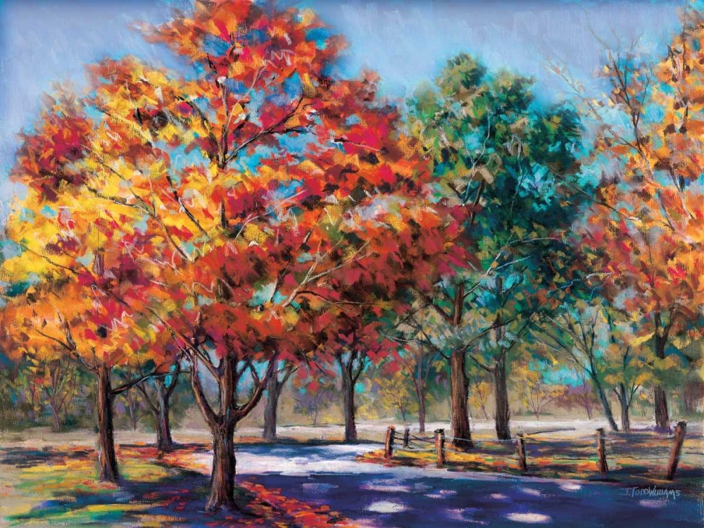 Fall Brilliance I art print by Todd Williams for $57.95 CAD