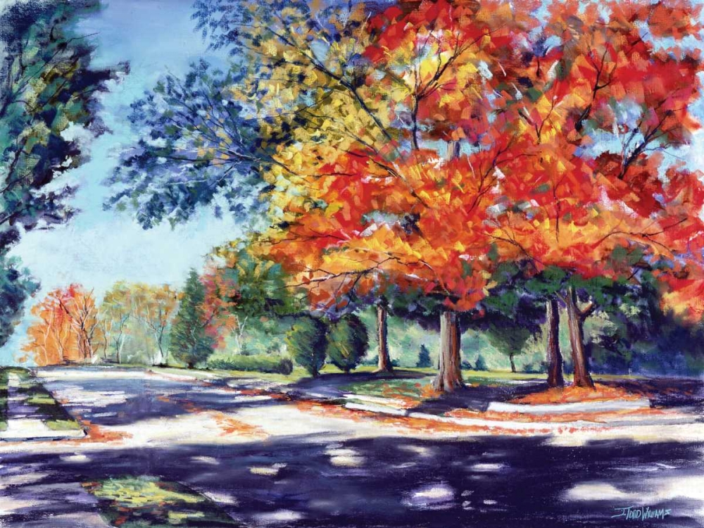 Fall Brilliance II art print by Todd Williams for $57.95 CAD