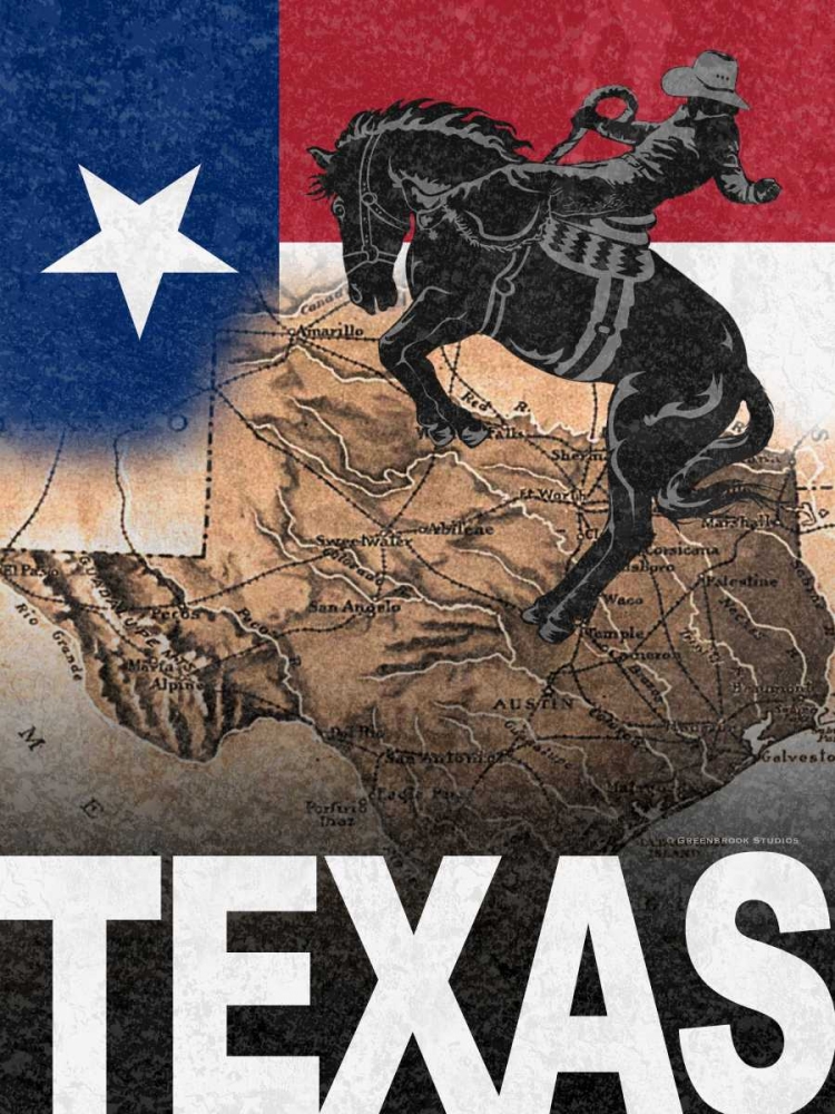 Texas art print by Todd Williams for $57.95 CAD