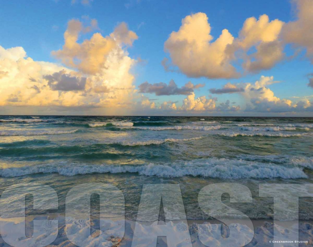 Florida Coast art print by Todd Williams for $57.95 CAD