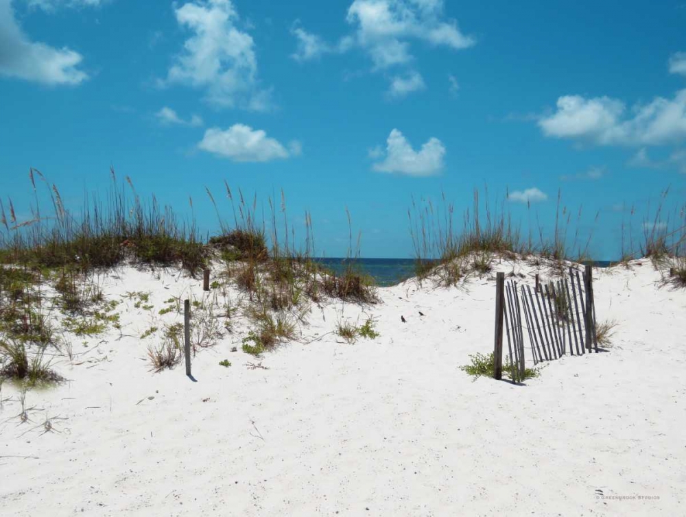 Sand Dunes I art print by Todd Williams for $57.95 CAD