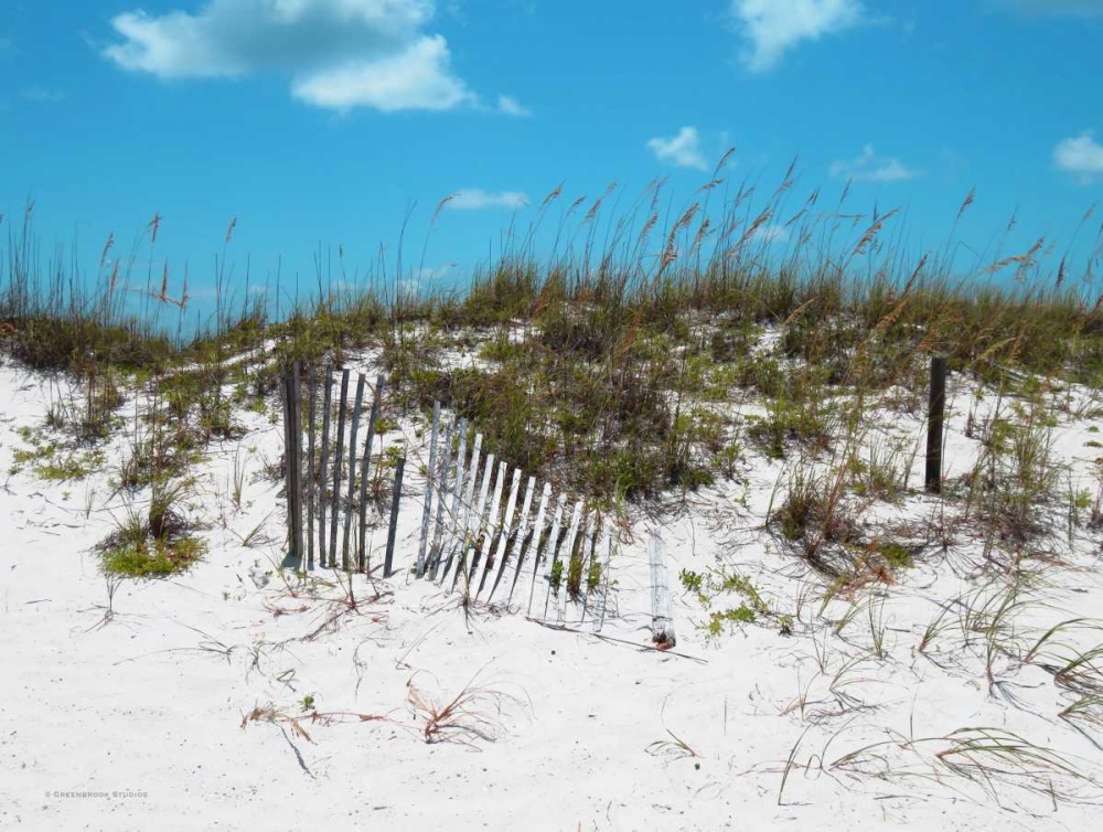 Sand Dunes II art print by Todd Williams for $57.95 CAD