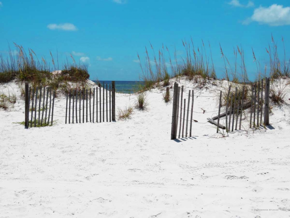 Sand Dunes III art print by Todd Williams for $57.95 CAD