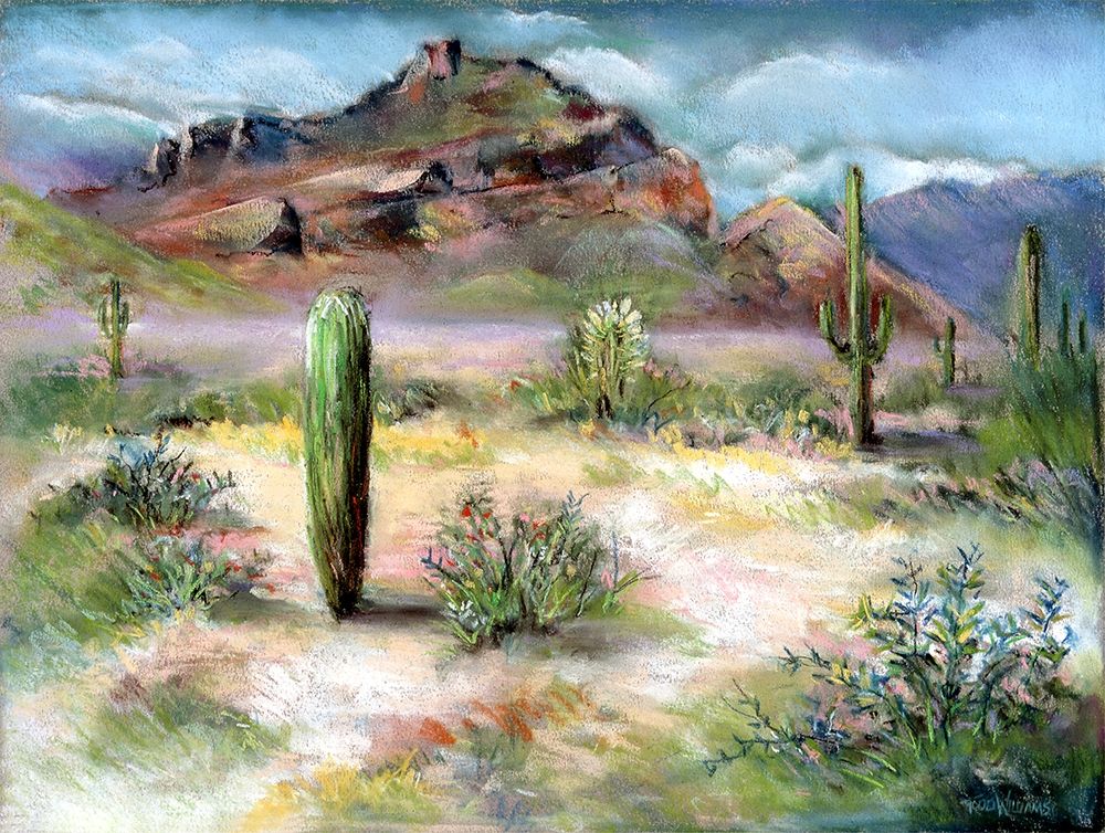Red Mountain art print by Todd Williams for $57.95 CAD