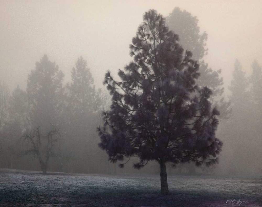 Silent Night art print by Vitaly Geyman for $57.95 CAD