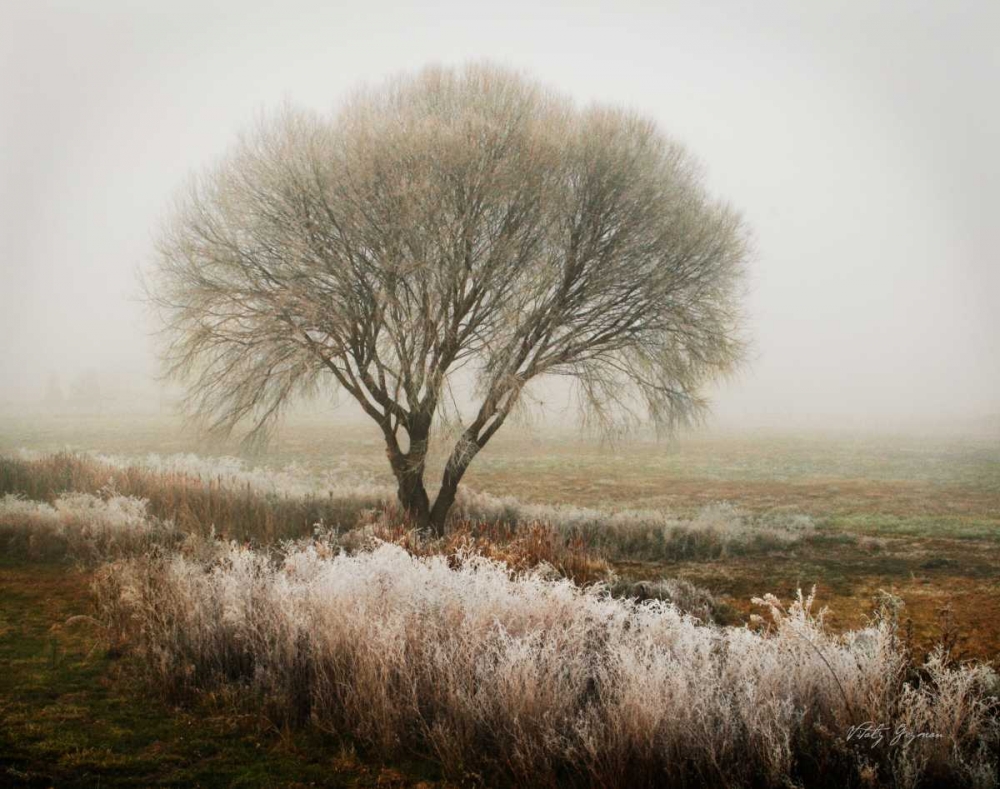Tranquility I art print by Vitaly Geyman for $57.95 CAD