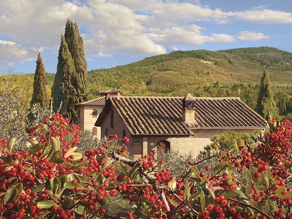 Colorful Countryside art print by Alan Giana for $57.95 CAD