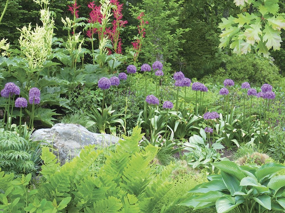 A Patch of Peace art print by Alan Giana for $57.95 CAD