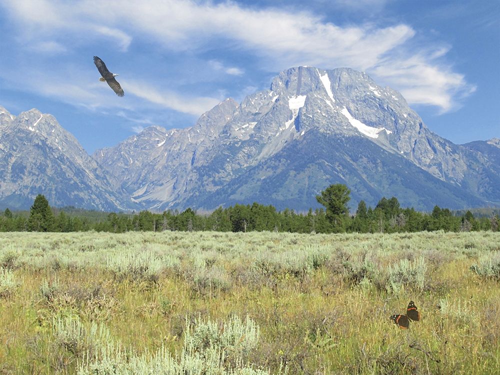 Freedom within Range art print by Alan Giana for $57.95 CAD