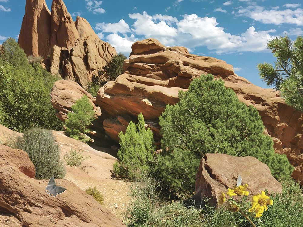 Red Rock Refuge art print by Alan Giana for $57.95 CAD