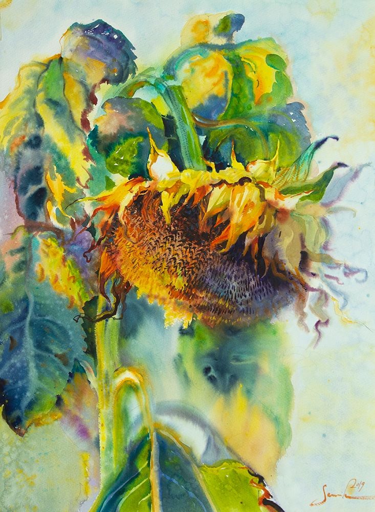 Sunflower art print by Samira Yanushkova for $57.95 CAD