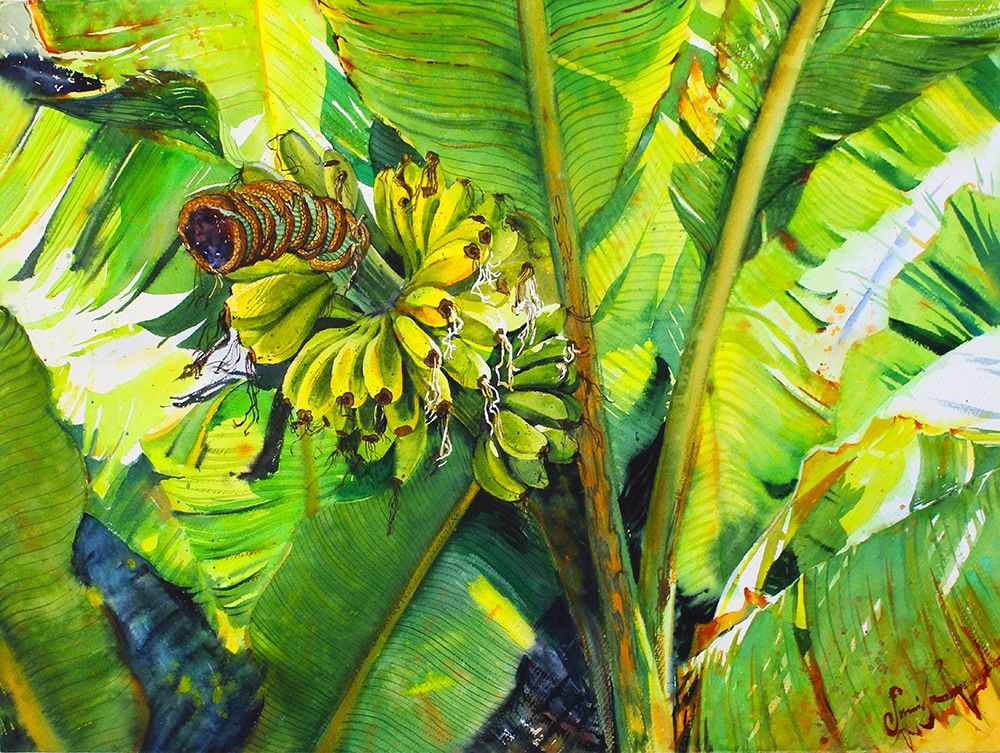 Bananas art print by Samira Yanushkova for $57.95 CAD