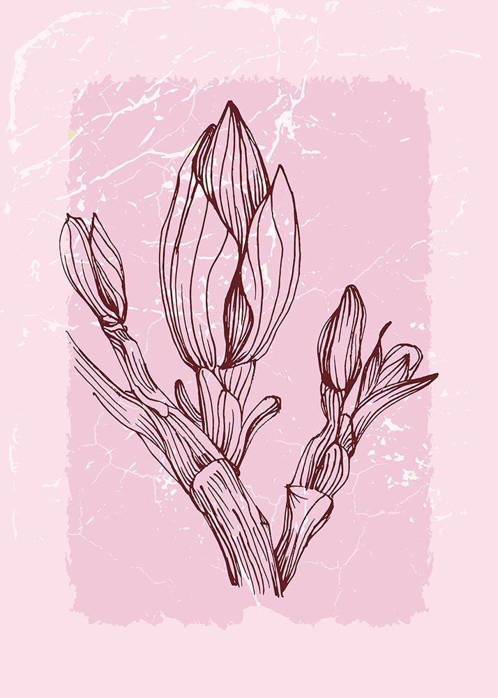 Magnolia flowers minimal art art print by AcantStudio for $57.95 CAD
