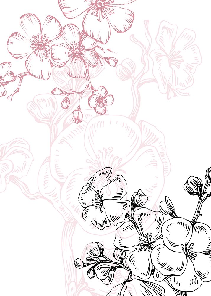 Minimalist Cherry blossom flowers design art print by AcantStudio for $57.95 CAD