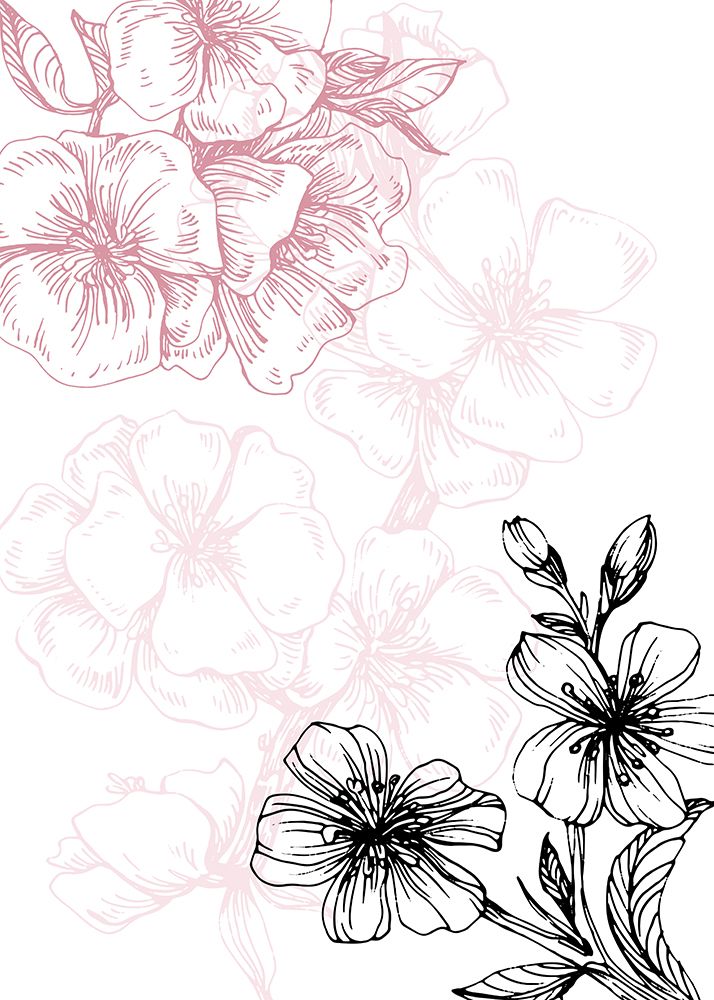 Sakura flowers minimal art art print by AcantStudio for $57.95 CAD