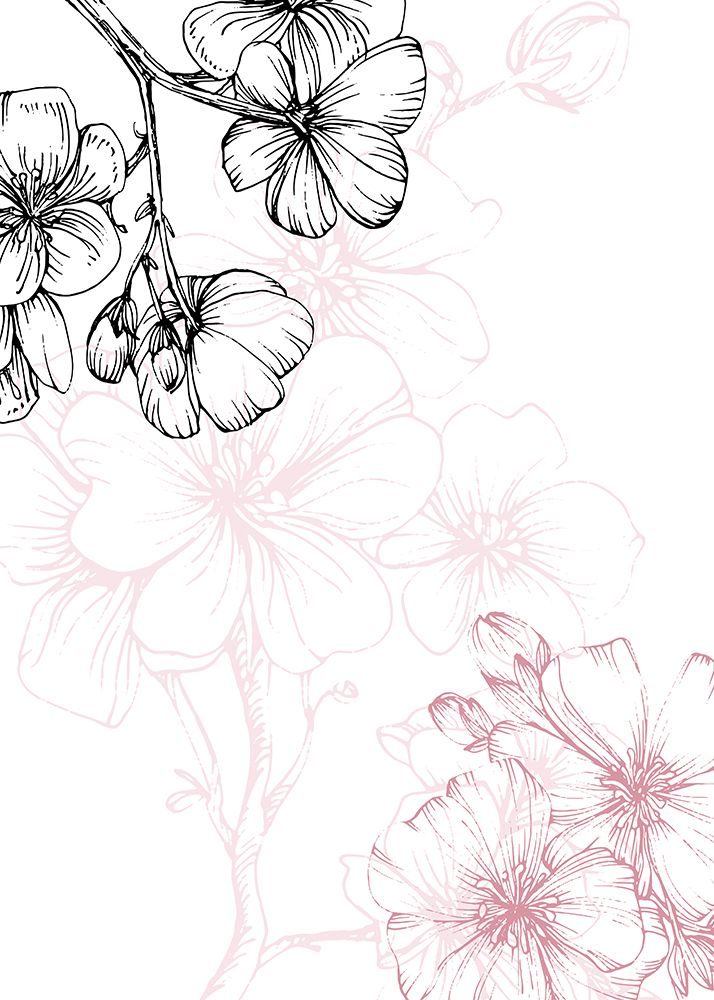 Sakura flowers minimal art art print by AcantStudio for $57.95 CAD