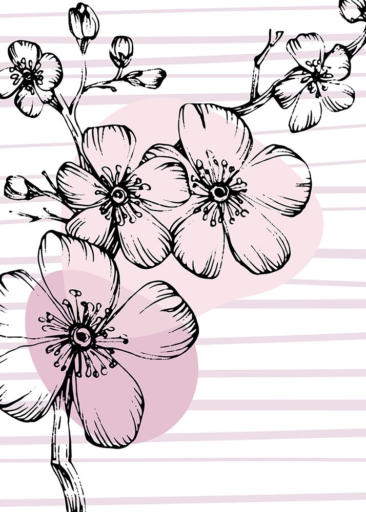 Sakura flowers minimal art art print by AcantStudio for $57.95 CAD