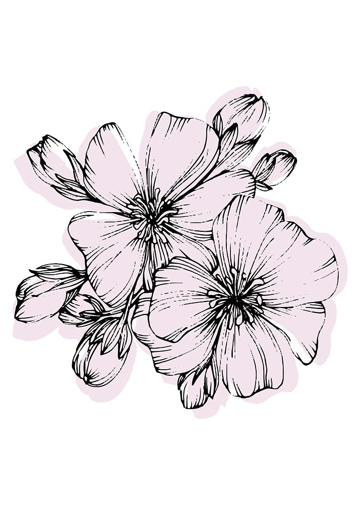 Japanese cherry flowers minimal art art print by AcantStudio for $57.95 CAD