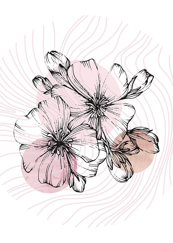 Sakura flowers minimal art art print by AcantStudio for $57.95 CAD