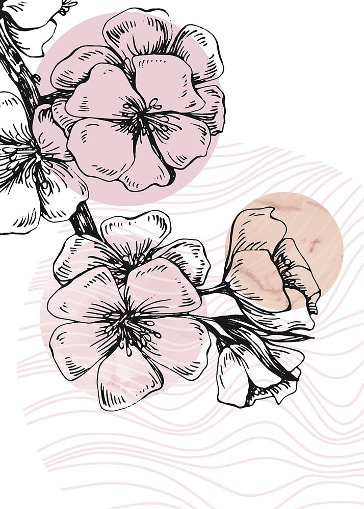 Sakura flowers minimal art art print by AcantStudio for $57.95 CAD