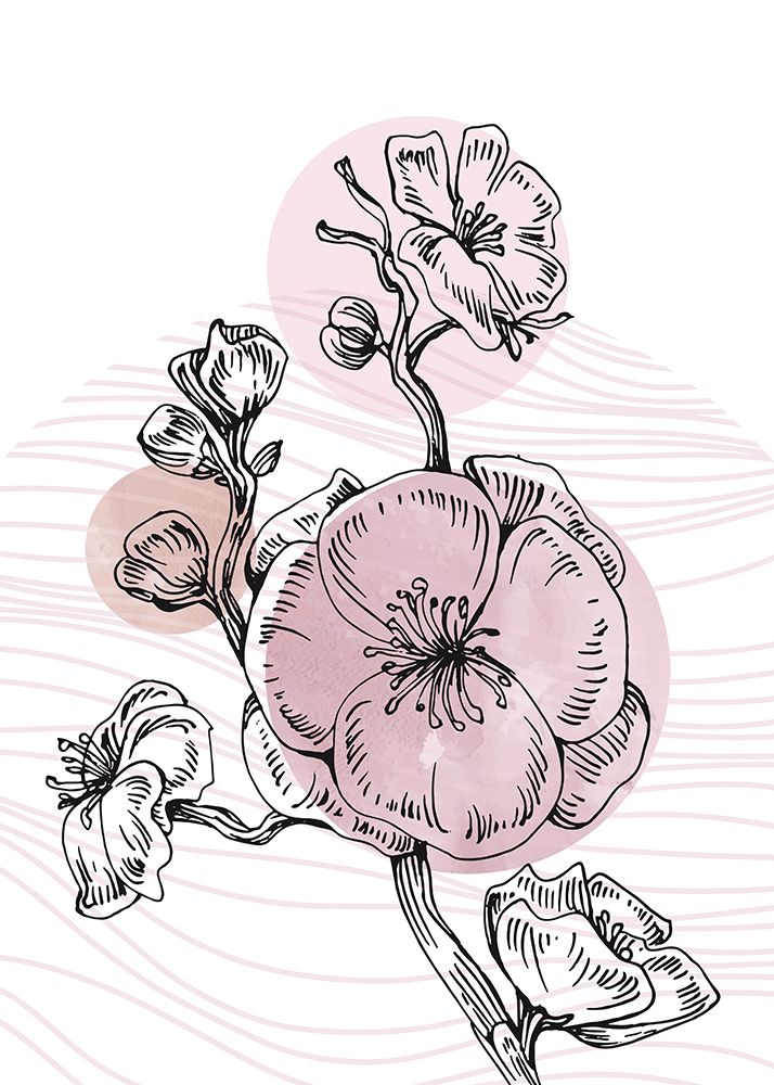 Sakura flowers minimal art art print by AcantStudio for $57.95 CAD
